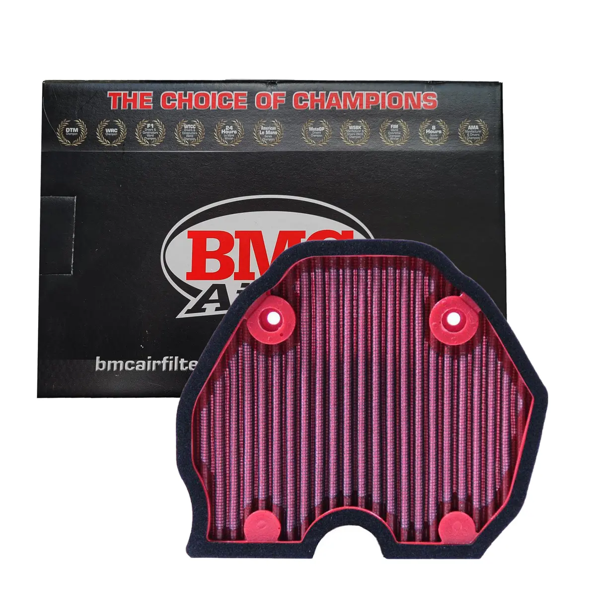 Bmc Air Filter Fm953/04 For Benelli Tnt 300, Benelli 302R 1