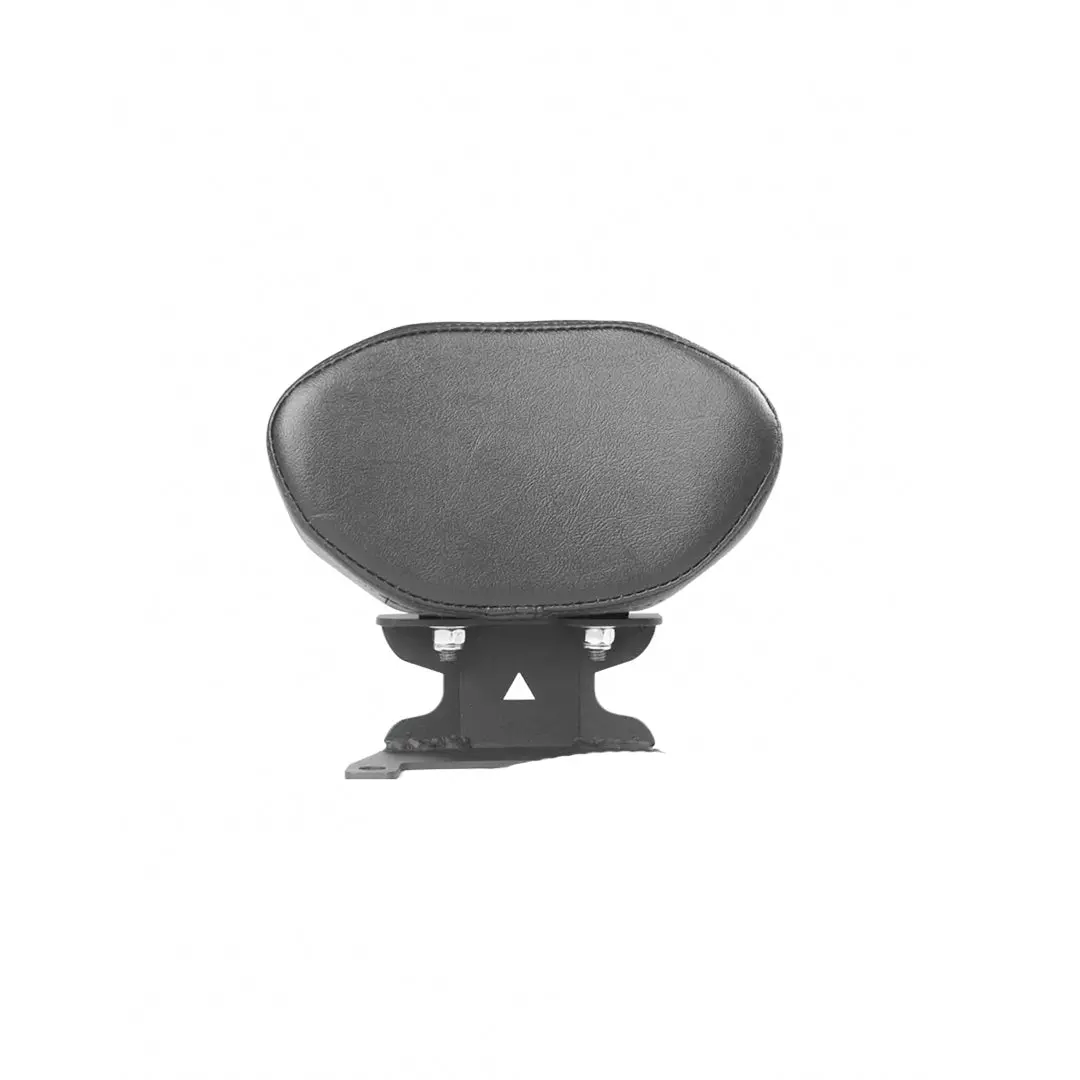 Legundary Bajaj Dominar Back Rest 1