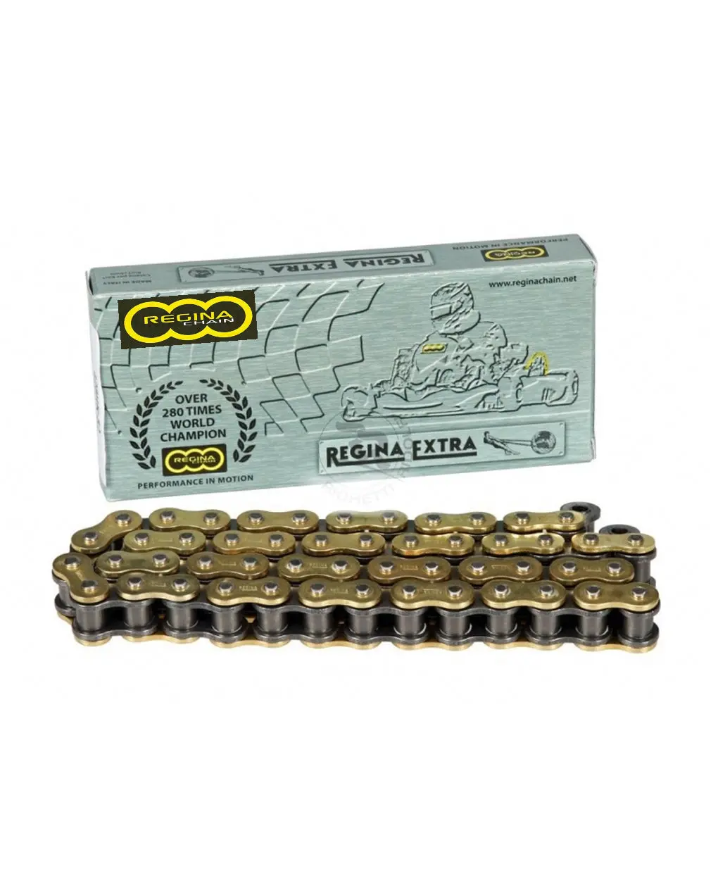 Regina 428 Chain (Kz2) 1