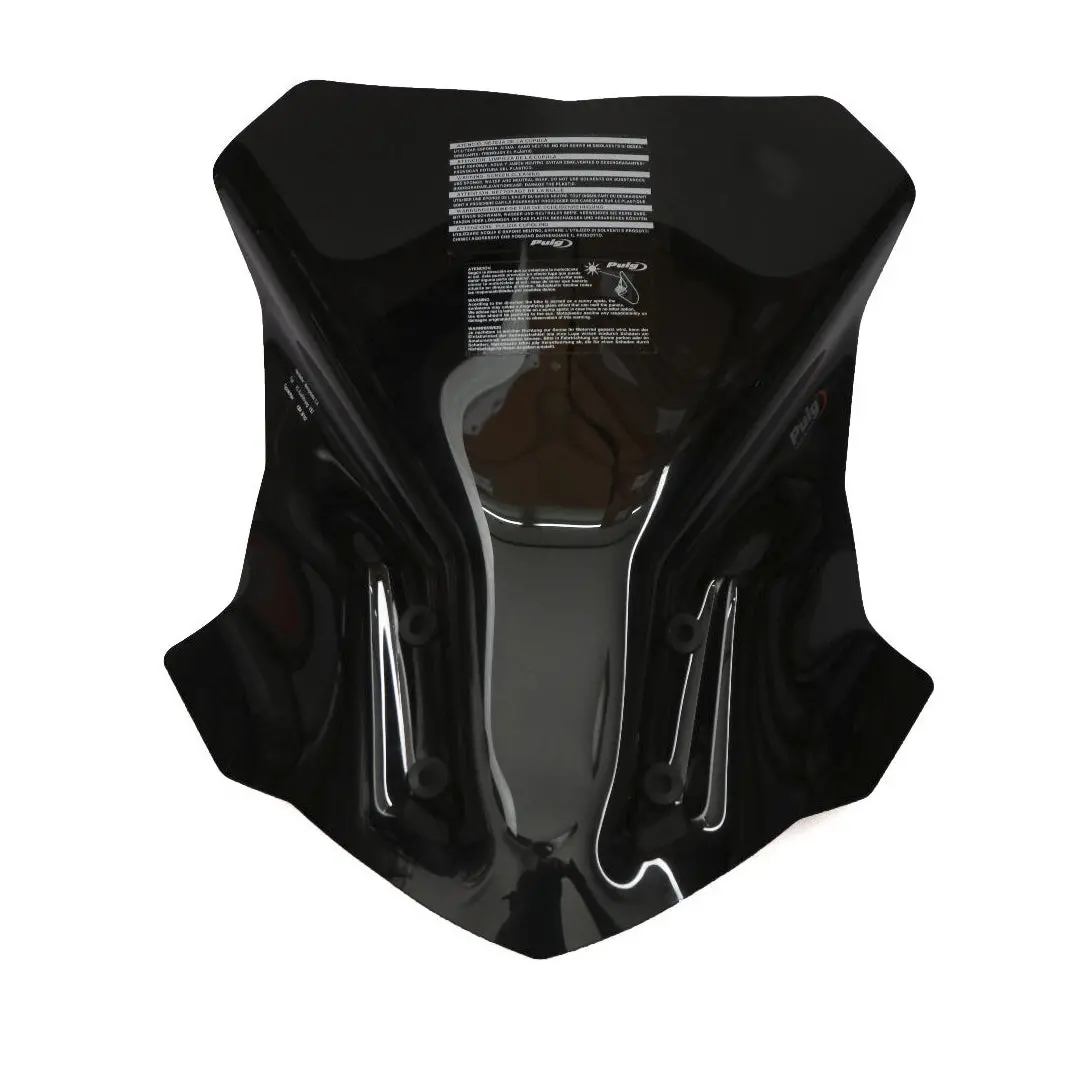 Puig Visor Bmw Gs310 1