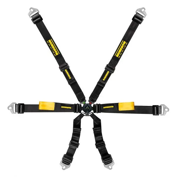 Schroth Enduro 2X2 1