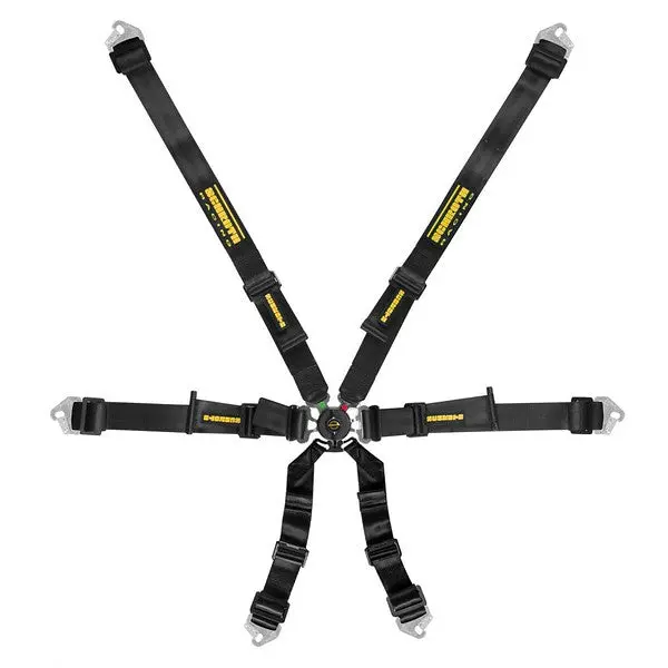 Schroth Flexi 2X2 1
