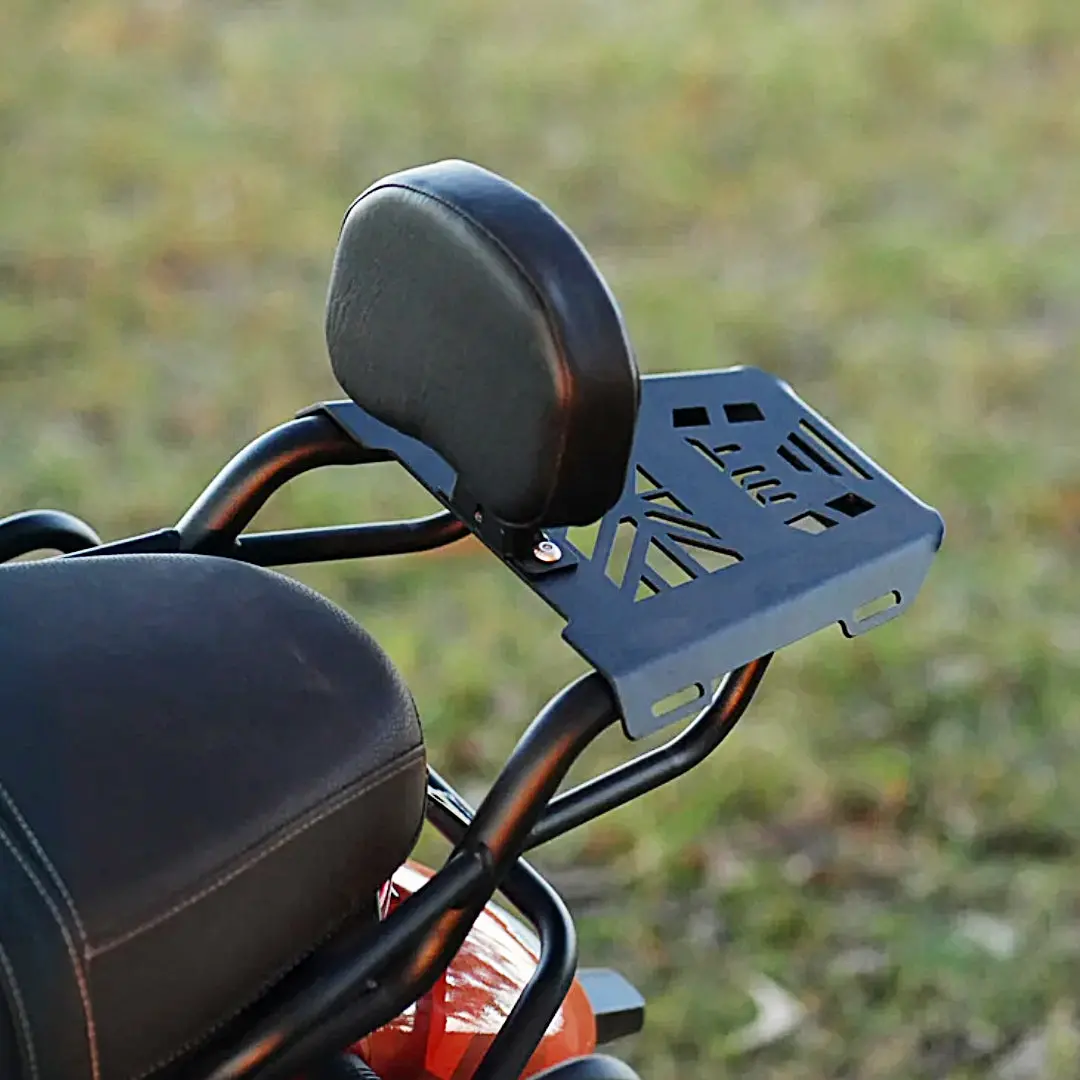 Mototorque Tvs Ronin Back Carrier 1