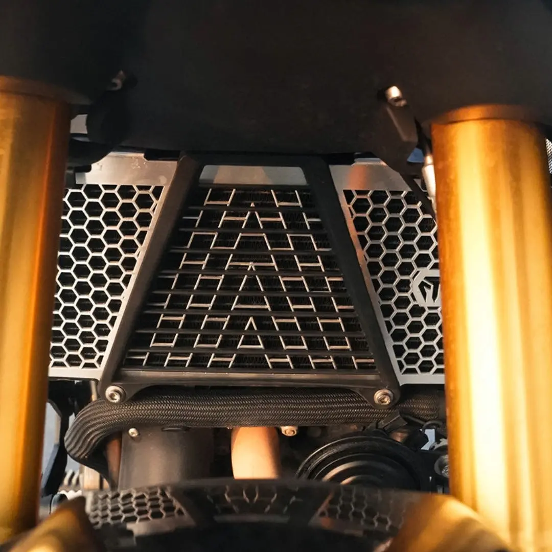 Radiator Guard (Ss) For Tvs Apache Rtx 300 | Moto Torque 1