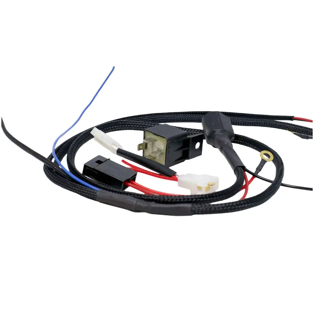 Raw Stone Wiring Harness 10/20/40S 1