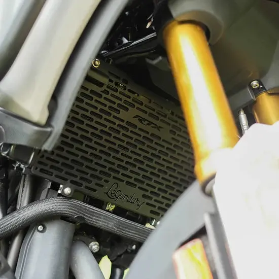 Tvs Apache Rtx 300 Vector Radiator Grill Black | Legundary 1