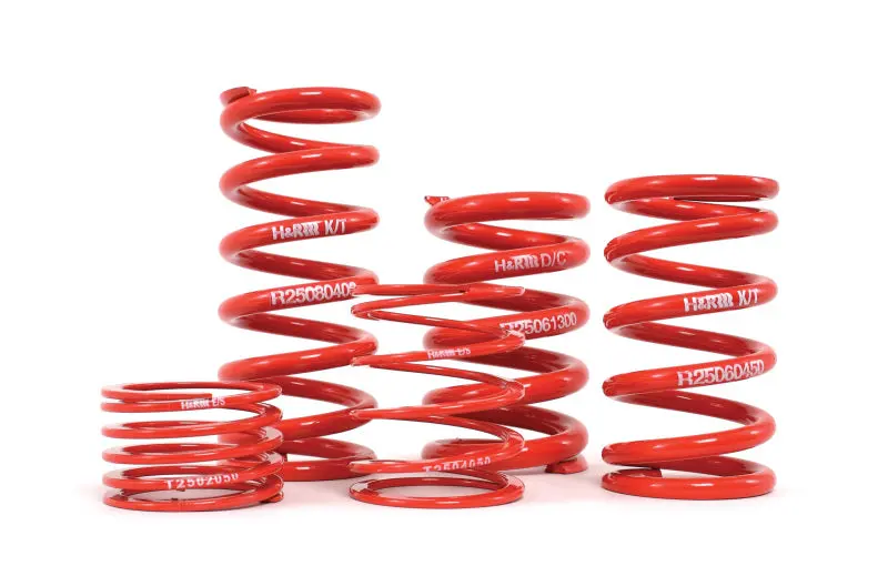 H&R Race Single Coil Spring – 2.5" Id, 12" Length, 300 Lb/In Rate 1