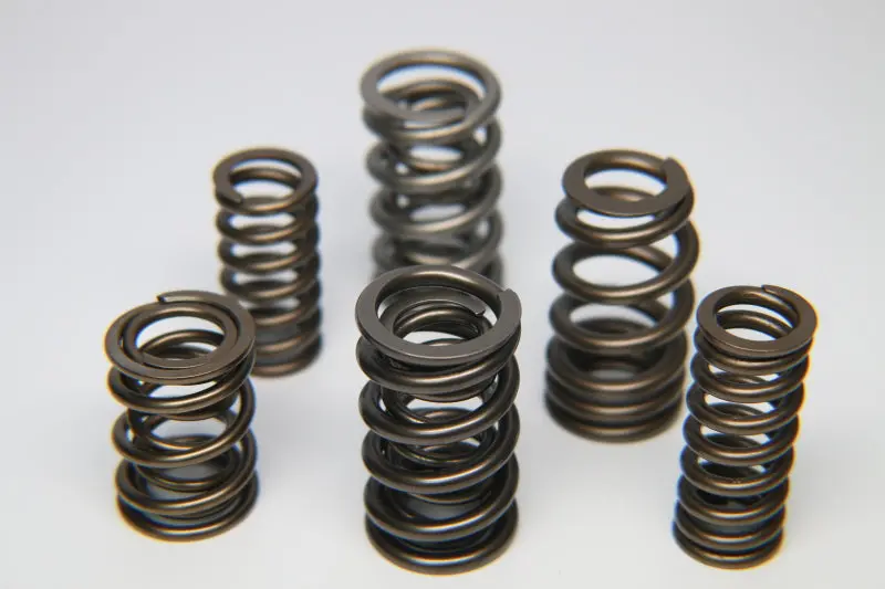 Ferrea Single Valve Spring For Audi Daza Engines 1